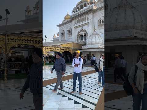 Free Travel In School Dress Shorts Travel