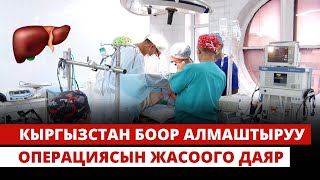 Кыргызстан боор алмаштыруу операциясын жасоого даяр