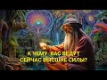 К ЧЕМУ ВАС ВЕДУТ СЕЙЧАС ВЫСШИЕ СИЛЫ?🌈🎁❤️