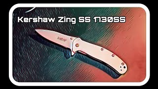 Kershaw Zing SS 1730SS Unboxing by Nocturnal Mantis 194 views 1 year ago 3 minutes, 14 seconds