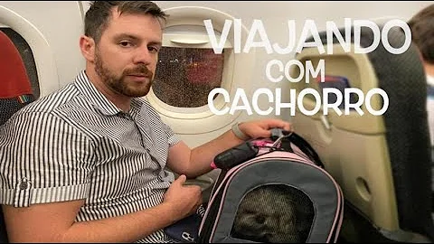 O que precisa para viajar com cachorro na Gol?