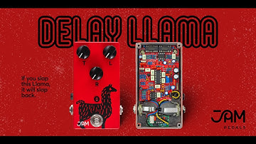 JAM pedals | Delay Llama