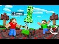 Minecraft BUT The Entire World Is UNLUCKY BLOCKS! (dangerous)