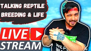 My Reptile Breeding Projects & Life Talks With Mitch