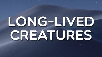 Long-lived creatures, Level 360, Word Crush Answers, FullHD 60 fps.