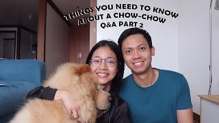 Q&A about a CHOW-CHOW PART 2 (Vlog#76) by funneimom 365 views 1 year ago 18 minutes