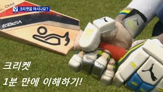 1분 만에 크리켓 이해하기! [고전영상] (KBS뉴스20140814_‘야구 사촌?’ 닮은 듯 다른 크리켓의 재미) screenshot 3