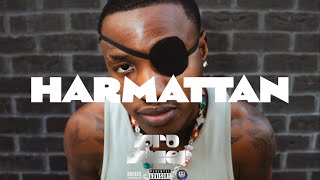 Ruger Type Beat – 'Harmattan' | Emotional Afrobeat 2026