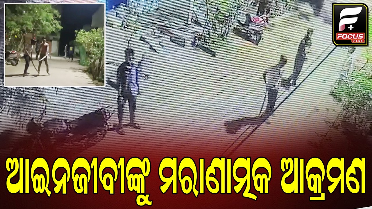 ଆଇନଜୀବୀଙ୍କୁ ମରାଣାତ୍ମକ ଆକ୍ରମଣ ll FOCUS PLUS ||