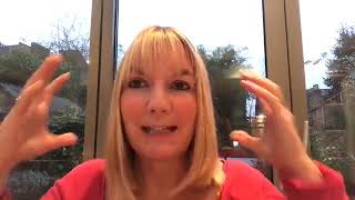 Dog Head Injuries - How To Help