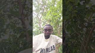 ndi igbo ndo ndonuoooo 😫😫😫😫 ndonu 😌#nigeria #viral #igbo #igboamaka