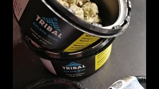 SQDC Weed Review #282 Gelato Mint de Tribal par Cannara Biotech