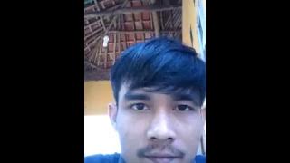 joker production 4k burung lovebird  [Created by CCTube-App]