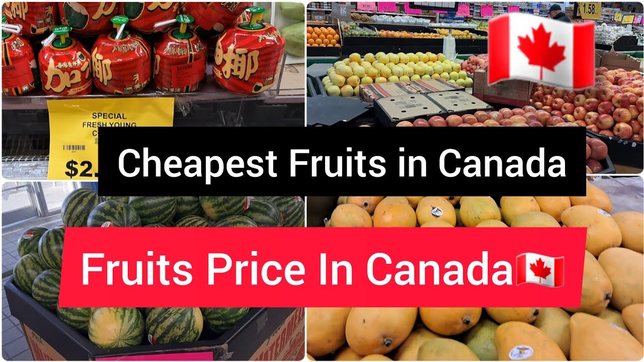 Can Fruit Be Brought Into Canada Fruit Market In Canada 🇨🇦 || Fruits Price In Canada || Cheapest Fruit