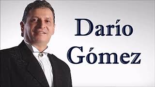 Dario Gomez - Debiste ser mas sincera  ( AUDIO )