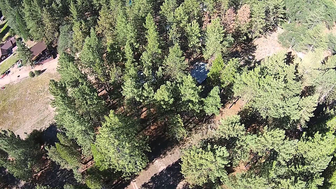 Flying above Angelus Oaks