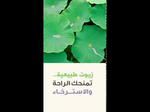 زيت مساج طبيعي لافندر ورد لوتس من رؤى الطبيعة