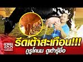 รีดเต้าสะเทือน!!! เอ๋ กูรูโคนม ดูเต้ารู้ชื่อ | SUPER100