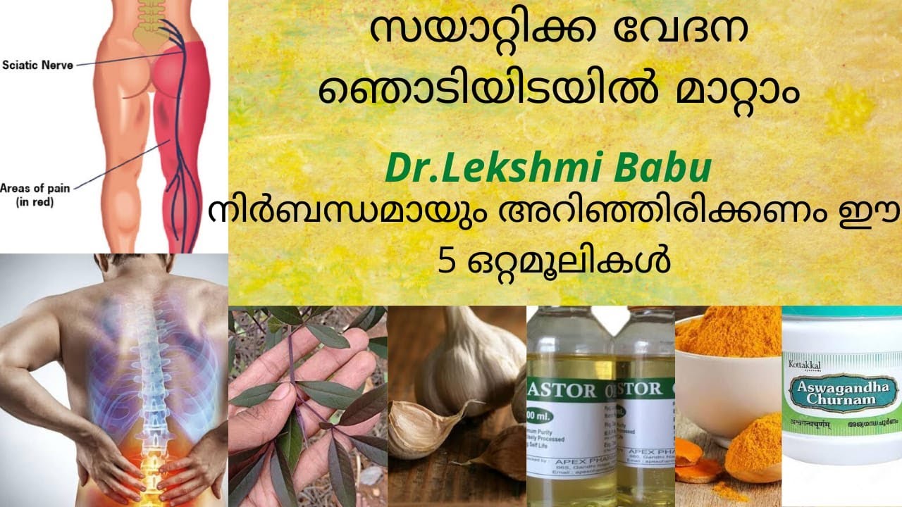 SCIATICA EASY EFFECTIVE 5 HERBAL REMEDIES FOR SCIATICA PAIN sciatica-easy-effective-5-herbal-remedies-for-sciatica-pain