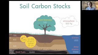 Let's Talk About Carbon Sequestration