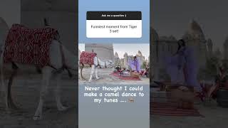 When katrinakaif made camel dance on her tune ? on tiger3 sets salmankhan shorts