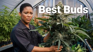 How To Grow Cannabis: The Ultimate Guide