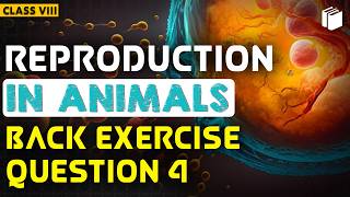 Question 4 | Back Exercise | Reproduction in Animals | Chapter 9 | Class 8 | PuStack