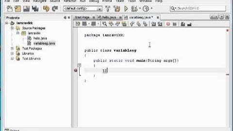 Netbeans Java Tutorial - 3 Variables & Datatypes - Part 1