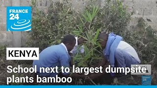 Children plant bamboo to combat dire air pollution from Kenya's biggest dumpsite • FRANCE 24