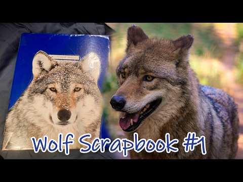 Scrapbook Tour! | Wolf Scrapbook #1