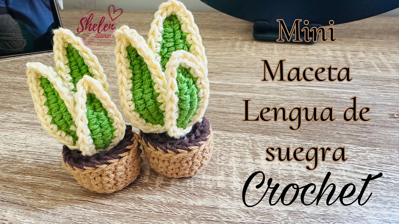 Mini maceta lengua de suegra crochet 🧶♥️🪴