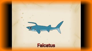 Palaeoperfil: Falcatus, Chondrichthyes.