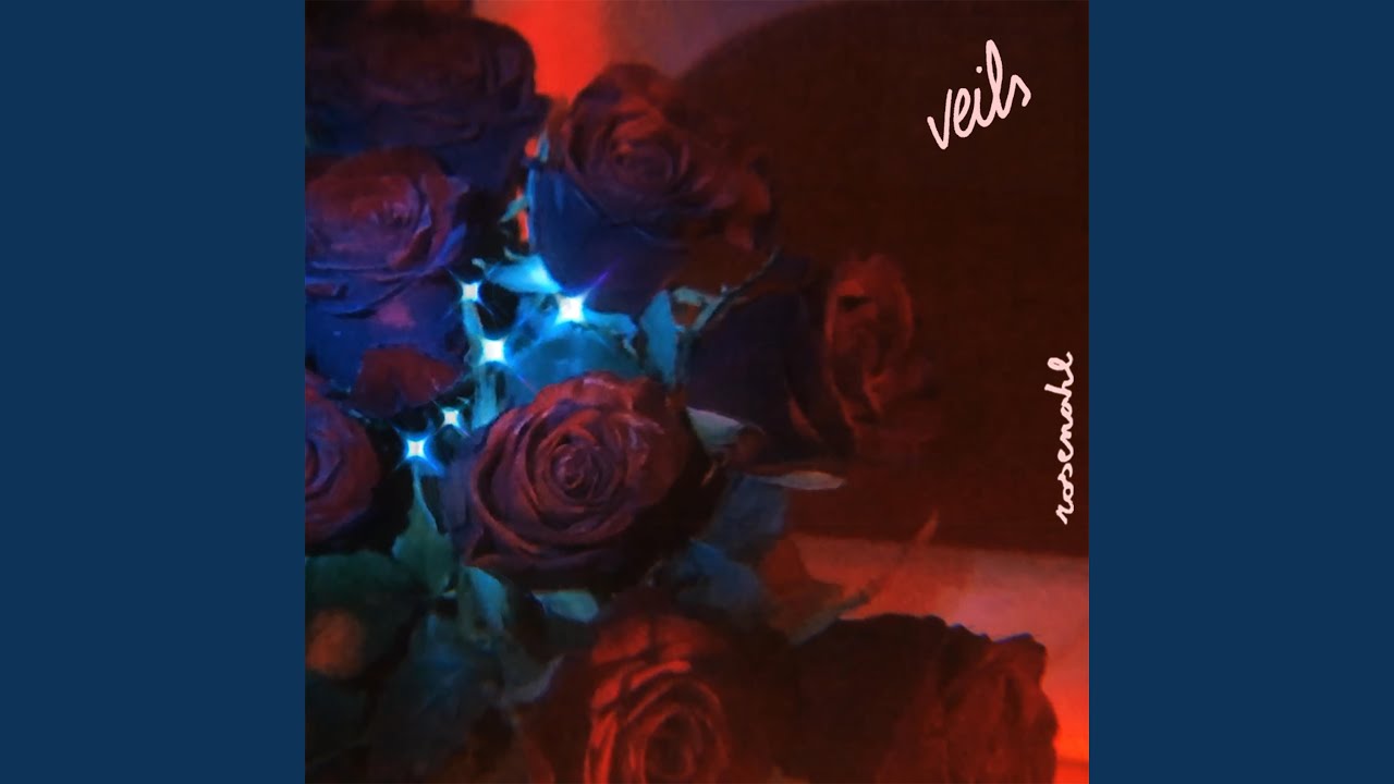 Watch Veils on YouTube Watch Veils on YouTube