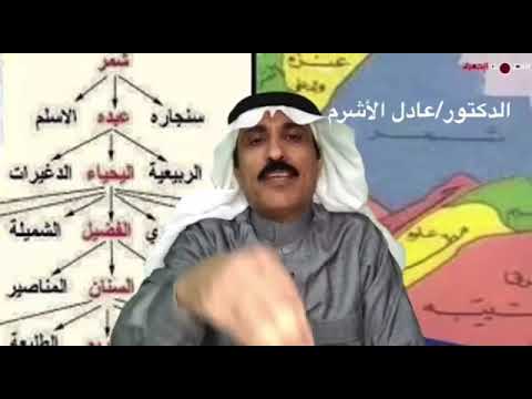 الفرق بين نسب ضياغم مذحج وضياغم طيء