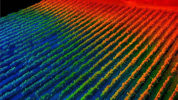 3D Modelling of a Vineyard with UAV