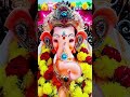 #🚩🙏जय श्री गणेश 🌺🌺🚩🙏#yashomatimaiyasebolenandlala #bhaktivibes #devotionalhits #musiclove