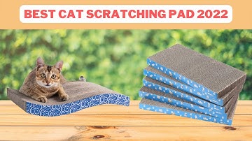 Top 5 Cat Scratching Pad | Best Cat Scratching Pad Reviews 2022