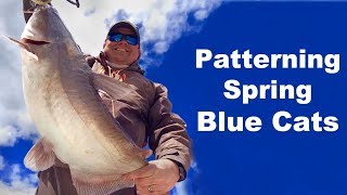 Patterning Spring Blue Catfish - Spring Blue Cats - How To Catch Spring Catfish