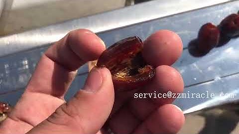 Industrial Dates Pitting Machine | Medjool Dates Pitter and Half Cutter Machine