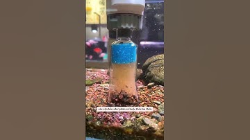 Máy Hút Cặn Bể Cá Yee Giải Pháp Tối Ưu Cho Hệ Thống Nuôi Cá Cảnh Của Bạn #cácảnh #thuysinh