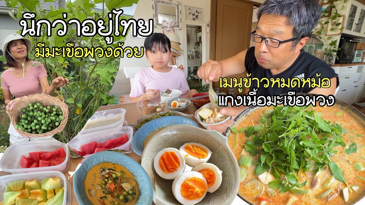 เก็บมะเขือพวงมาทำเมนูแกงเนื้อมะเขือพวง ให้พ่อแว่นกิน มีน้ำกะทิแตงไทยแตงโมหวานๆอิ่มอร่อยเหมือยอยู่ไทย