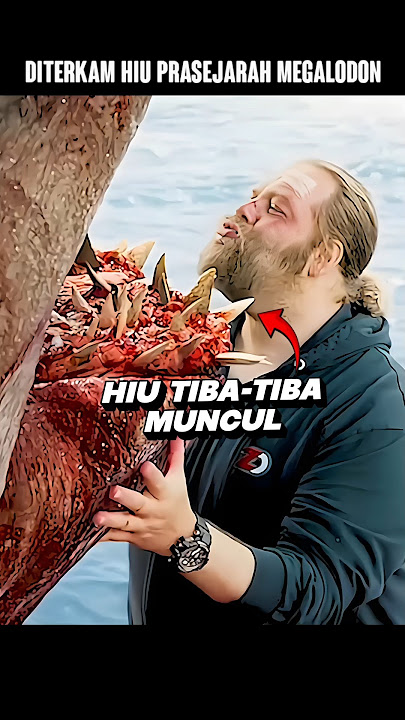 Hiu Megalodon Raksasa Makan Kapal dan Pria Gemuk! #alurceritafilm #film #shorts