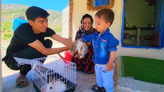 Bunny Bonds: Ali's Gift of Rabbits and Ayhan's Delightful Rabbit Haven
