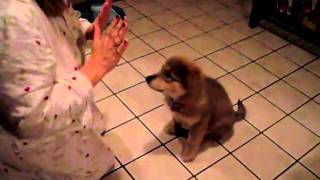 highfive.AVI