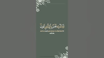 تلاوة قرانيه تريح القلب والنفس من سورة لقمان بصوت القارئ الشيخ ياسر الدوسري