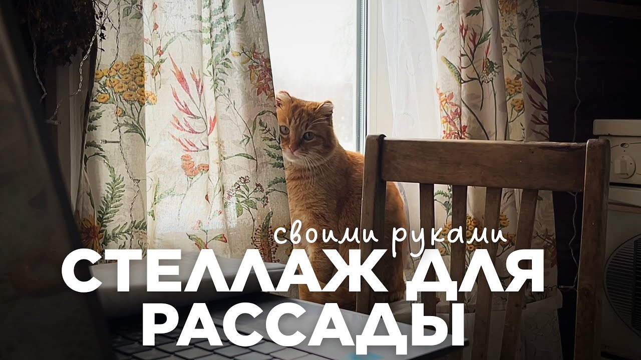 Тихие деревенские будни, когда все идет не по плану))) 