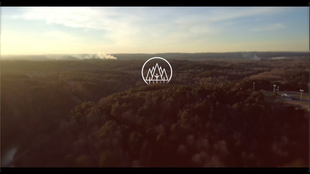 Seed Creative 2022 Reel