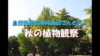 自然観察指導員西田さんと行く「秋の植物観察」