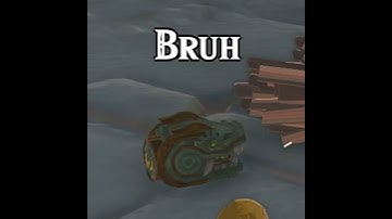 When you skip the tutorial in Tears of the Kingdom...