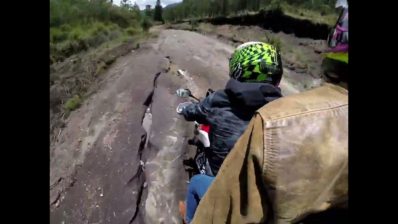 perro azoton jajajaj